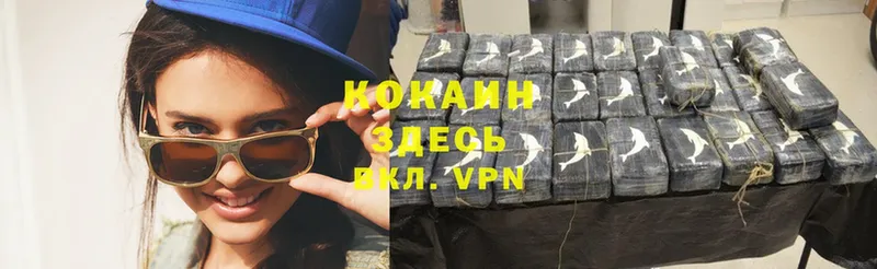 COCAIN FishScale  купить наркотики сайты  Волгореченск 